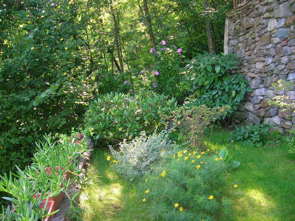 Apartament Al Carotin Mantello Pokój zdjęcie